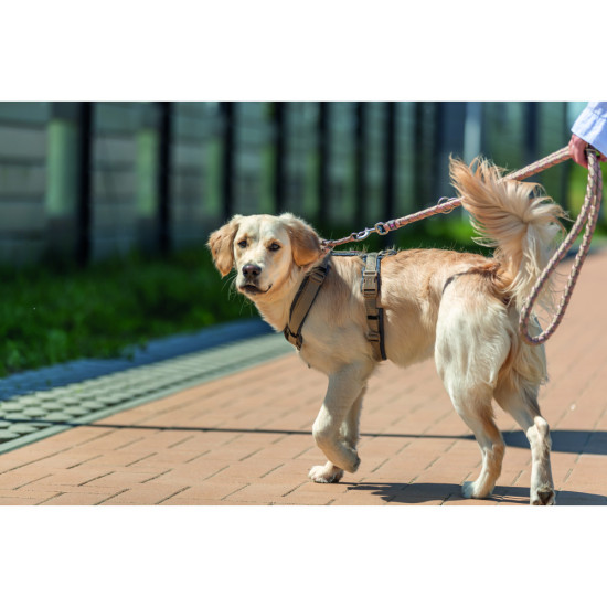 Повідок Trixie Cavo для собак регульований S–M 2 м діаметр 12 мм рожево-пісочний