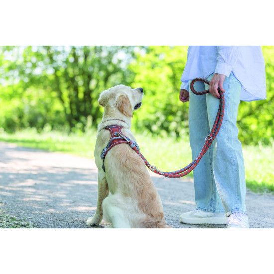 Повідок Trixie Cavo для собак регульований L–XL 2 м діаметр 18 мм рижий-графітовий