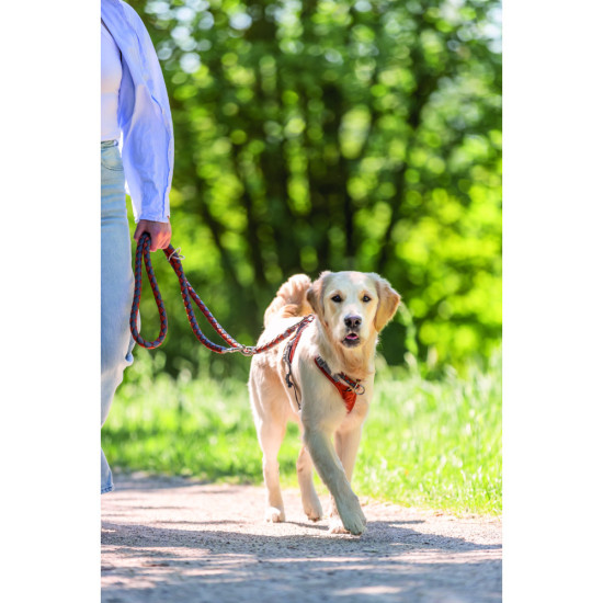 Нашийник Trixie Cavo для собак напівудавка S–M 35–41 см діаметр 12 мм рижо-графітовий