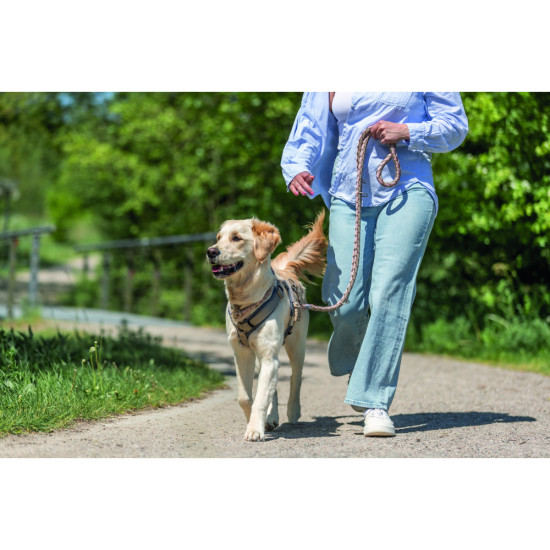 Нашийник Trixie Cavo для собак напівудавка L 47–55 см діаметр 18 мм рожево-пісочний