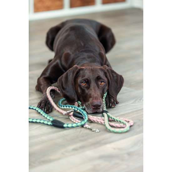 Повідок Trixie Cavo для собак L–XL 1 м діаметр 18 мм рожево-пісочний