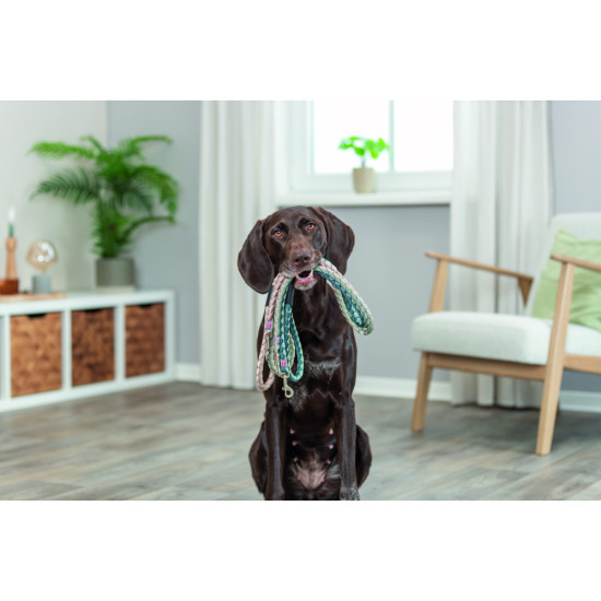 Повідок Trixie Cavo для собак L–XL 1 м діаметр 18 мм рожево-пісочний