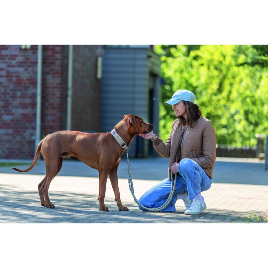 Нашийник Trixie Premium для собак екстраширокий L 46–55 см 50 мм пісочно-сірий