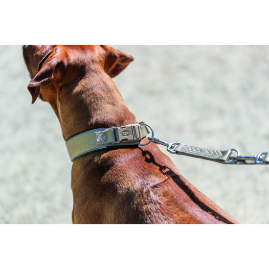 Нашийник Trixie Premium для собак екстраширокий L 46–55 см 50 мм пісочно-сірий