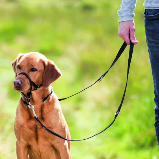 Шлея Trixie для собак тренувальна L чорна