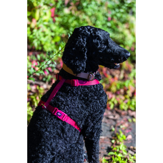 Шлея Trixie Premium для собак червона S–M 42–60 см х 15 мм