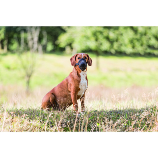 Намордник Trixie для собак для захисту від ядів XL чорний