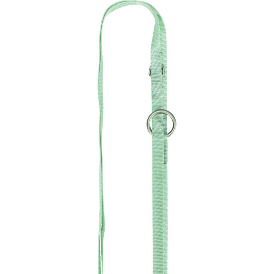 Шлея з повідцем Trixie для цуценят S–M 26–34 см х 10 мм 2,00 м м ятний