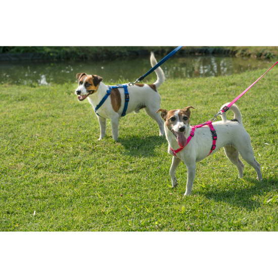 Повідець GimDog для собак Harlem рожевий неопрен 120 см/20 мм