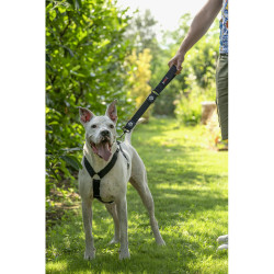 Шлея GimDog для собак Harlem H чорна нейлон 67-90 см/25 мм