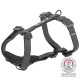 Шлея Trixie CityStyle H-harness для собак бавовна XS–S 30–44 см 10 мм чорна