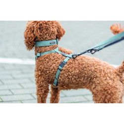 Повідок Trixie CityStyle V-Lead для собак бавовна S–M 2 м 13 мм світло-зелений
