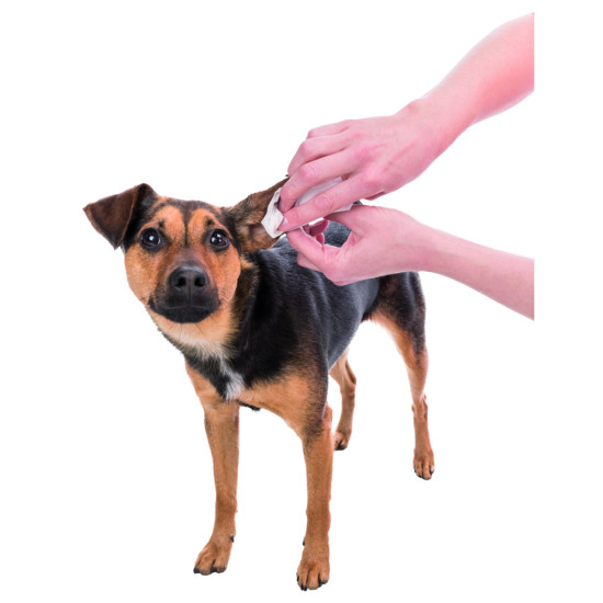 Серветки Trixie     для догляду за вухами   30шт