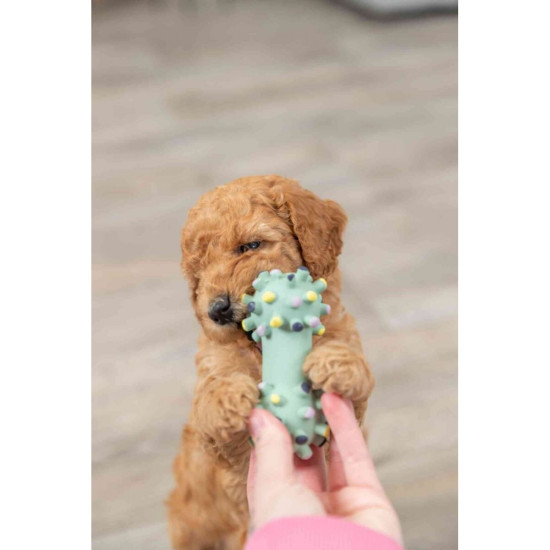 Іграшка Trixie Junior Mini Dumbbell для цуценят Гантель голчаста латекс 10 см