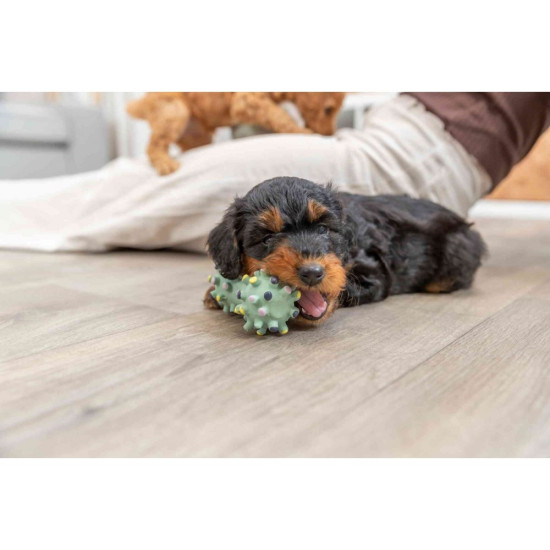 Іграшка Trixie Junior Mini Dumbbell для цуценят Гантель голчаста латекс 10 см