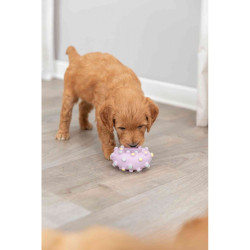 Іграшка Trixie для цуценят Кільце Junior латекс 8 см