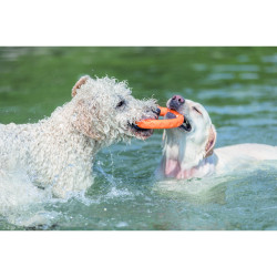 Іграшка Trixie для собак Кільце плавуче для водних розваг термопластична гума 17 см