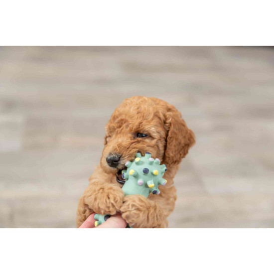 Іграшка Trixie Junior Mini Dumbbell для цуценят Гантель голчаста латекс 10 см