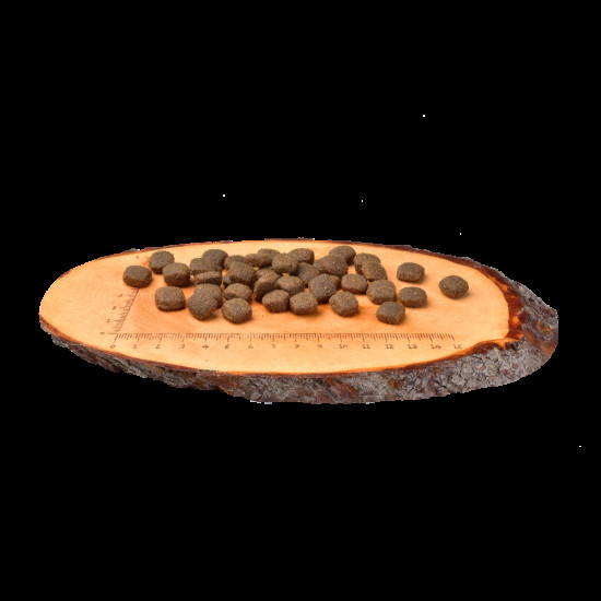 Корм сухий Carnilove Adult Lamb and Wild Boar для дорослих собак усіх порід з ягнятиною та диким кабаном 12 кг