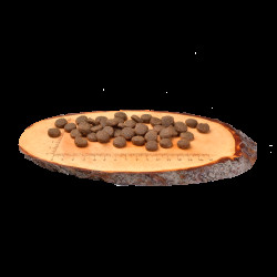 Корм сухий Carnilove Adult Duck and Pheasant для дорослих собак усіх порід з качкою та фазаном 1,5 кг