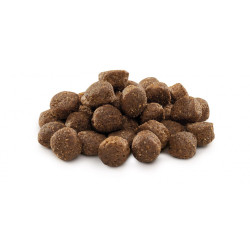 Корм сухий Brit Premium Dog Adult M для дорослих собак середніх порід вагою 10-25 кг з куркою 8 кг