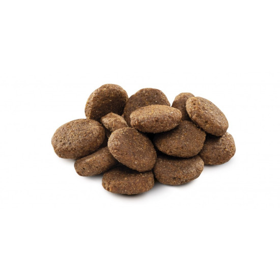 Корм сухий Brit Premium Dog Senior L+XL для собак похилого віку великих та гігантських порід вагою 25-90 кг з куркою 3 кг