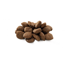 Корм сухий Brit Premium Dog Sensitive Lamb для собак усіх порід з чутливим травленням з ягнятиною 3 кг