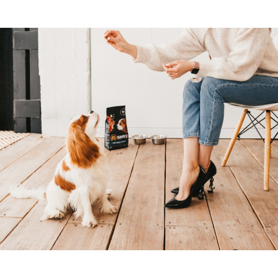 Корм сухий Savory Puppy rich in Fresh Turkey and Chicken для цуценят всіх порід зі свіжою індичкою і куркою 3 кг