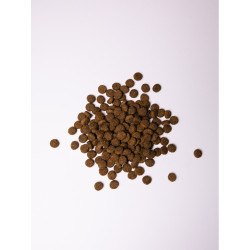 Корм сухий Savory Junior Large rich in Fresh Turkey and Chicken для молодих собак великих порід від 25 кг зі свіжою індичкою