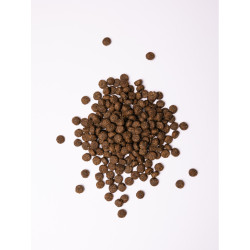 Корм сухий Savory Medium Breed rich in Fresh Turkey and Lamb для дорослих собак середніх порід від 10 до 25 кг зі свіжим ягн