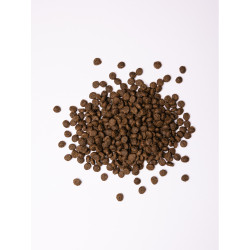 Корм сухий Savory Small Breeds rich in Fresh Lamb для дорослих вибагливих собак малих порід до 10 кг зі свіжим ягням 1 кг