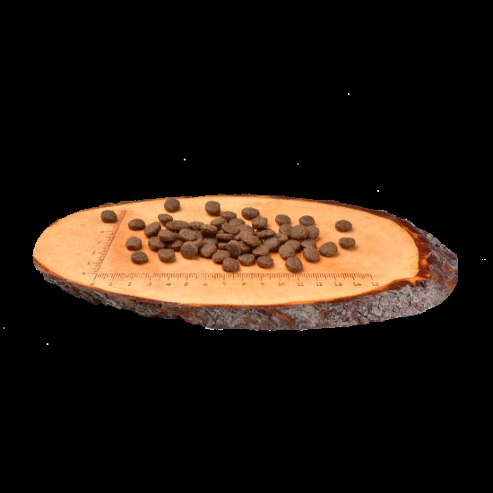 Корм сухий Carnilove Puppy Salmon and Turkey для цуценят усіх порід з лососем та індичкою 12 кг