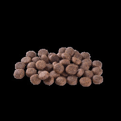 Корм сухий Brit Care Dog Grain-free Adult для дорослих собак малих і середніх порід беззерновий з лососем 3 кг