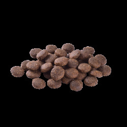 Корм сухий Brit Care Dog Grain-free Junior Large Breed для молодих собак великих порід беззерновий з лососем 3 кг