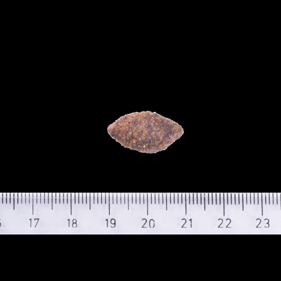 Корм сухий Brit Care Dog Grain-free Sensitive для собак з чутливим травленням беззерновий з олениною 12 кг