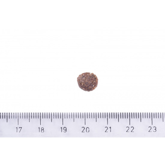 Корм сухий Brit Care Dog Sustainable Puppy для цуценят з куркою та комахами 12 кг