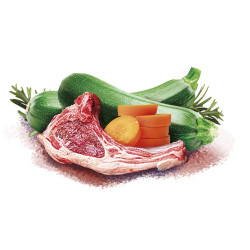 Корм вологий Brit Care Christmas for Dogs Lamb with Carrots для дорослих собак різдвяна вечеря з ягням та морквою 400 г