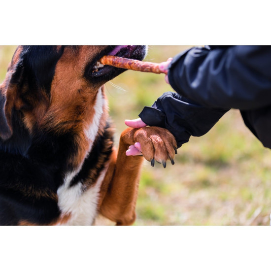 Ласощі Trixie Denta Fun Rolls with Duck для собак Паличка для чищення зубів з качкою 28 см 250 г 3 шт