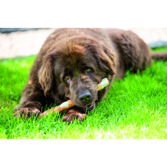 Ласощі Trixie Denta Fun Chewing Rolls для собак Палички для чищення зубів з куркою 28 см 250 г 3 шт