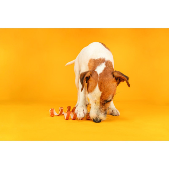 Ласощі Trixie Denta Fun Chicken Chewing Curls для собак Палички для чищення зубів сиром ятна шкіра з куркою 15 см 110 г 3 шт