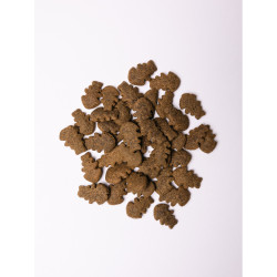 Хрусткі ласощі Savory Skin and Coat with Salmon and Marigolds для собак усіх порід для здоров’я шкіри та шерсті з лососем та