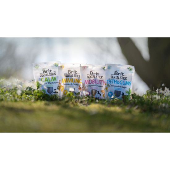 Ласощі Brit Dental Stick Teeth and Gums для дорослих собак з ромашкою та шавлією для здоров я ясен і зубів 7 шт 251 г