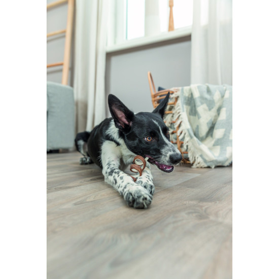 Ласощі Trixie Denta Fun Duck Chewing Roll bulk для собак Denta Fun Качка жувальний рулет д 17 см 45 г 1 шт