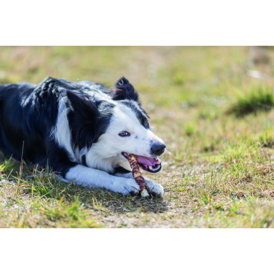 Ласощі Trixie Denta Fun Duck Pretzel bulk для собак Denta Fun Качиний крендель ваговий д 10 см 75 г 5 шт/уп