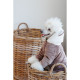 Костюм Pet Fashion Alf для собак бежевий XS2