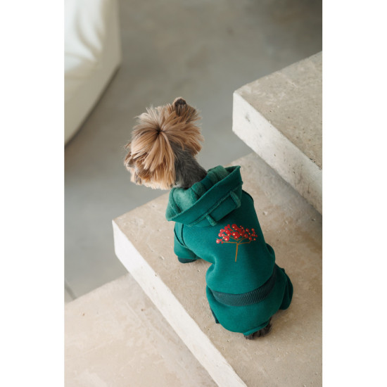 Костюм Berry L для собак