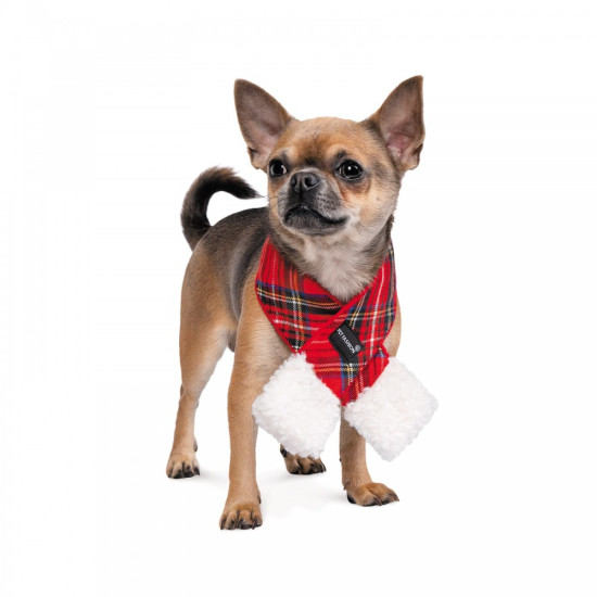Шарф Pet Fashion Happy для собак XS-S