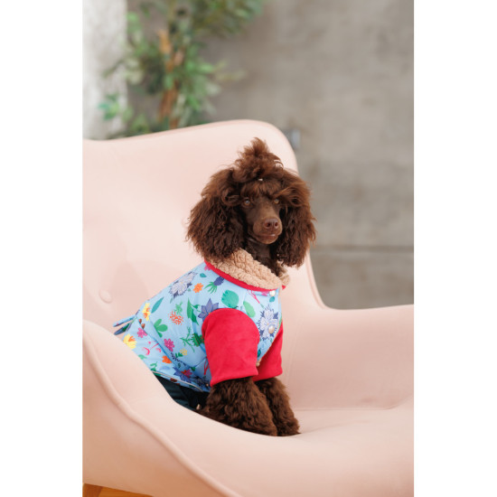 Костюм дівчинка Alisa XS2 для собак