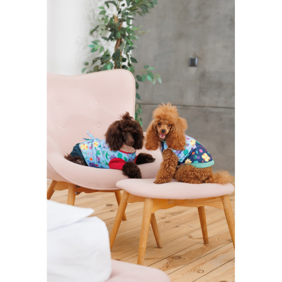 Костюм дівчинка Alisa XS для собак