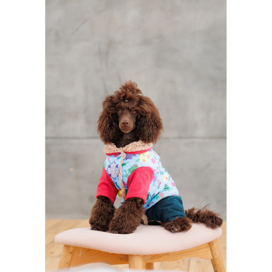 Костюм дівчинка Alisa XS для собак